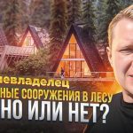 Рекреационная деятельность на землях лесного фонда - что это?