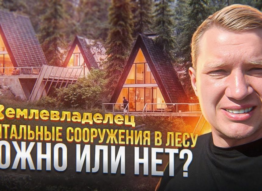 Рекреационная деятельность на землях лесного фонда — что это?